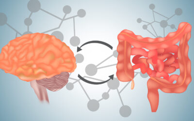 The Incredible Gut-Brain Connection